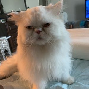 Meet your Posher, Denise